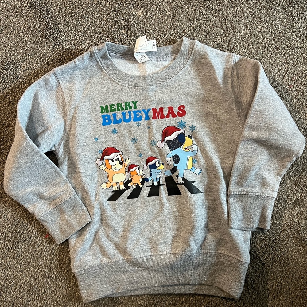 Kids Gray Sweatshirt Bluey